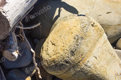 Preview: Driftwood, Washed Up By The Sea On A Pebble Beach On A Warm Summer Day