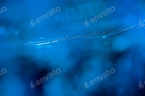 Preview: Abstract Composition With Spider Web Details And Natural Colors