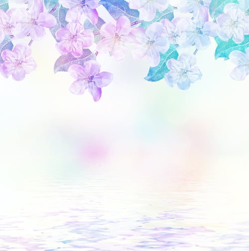Preview: Spring Landscape. Flowering Apple Tree. Spring Flowering Garden.