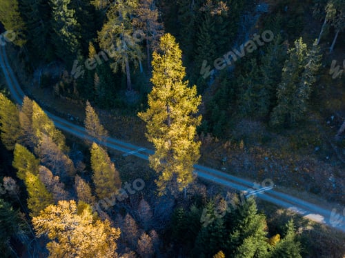 Preview: Aerial View Of Road In Forest In Swiss Mountains
