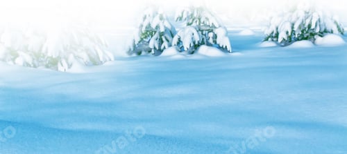 Preview: Frozen Winter Forest With Snow Covered Trees.