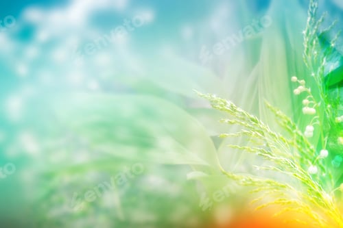 Preview: Blurred Image Of Grass. Summer Colorful Abstract Background. Lily Of The Valley