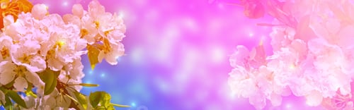 Preview: Blossoming Branch Cherry. Bright Colorful Spring Flowers