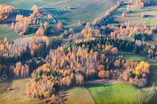 Preview: Aerial View Over The Fields And Forest In Autumn