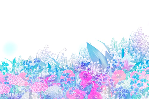 Preview: Beautiful Flowers Isolated On White Background. Floral Background.