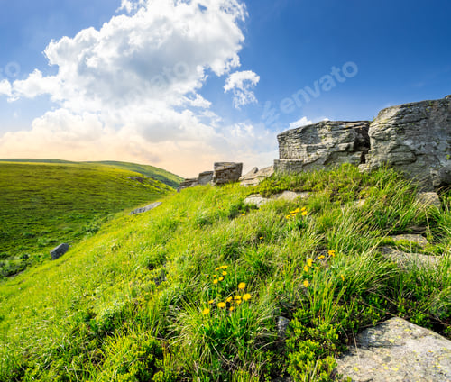 Preview: Huge Boulders On The Top Edge Of Hillside With Grass And Dandelions In High Mountains In Morning