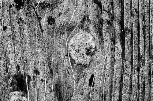 Preview: Wood Texture From Very Old, Weathered Piece Of Wood
