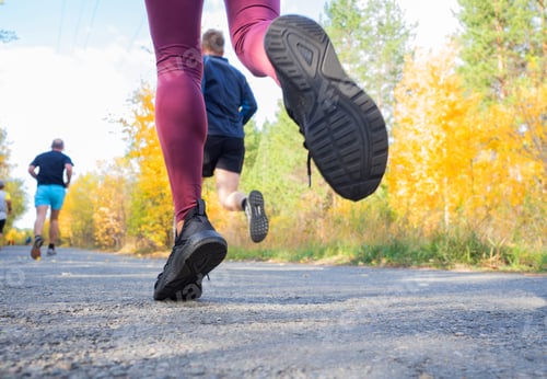 Preview: Feet Of A Jogger. Woman Runs In The Forest. Close-Up Of Sneakers. Helathy Lifestyle.