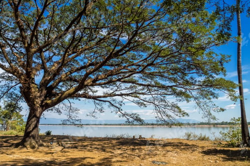 Preview: Landscape View On The Way From Wat Phou To The Nakasong Islands In Laos.