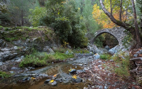 Preview: Medieval Stoned Bridge Water Flowing In The River In Autumn. Elia Bridge Troodos Mountains