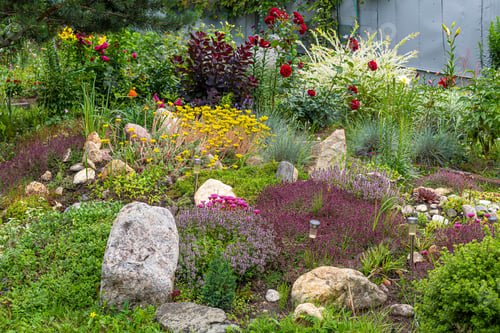 Preview: View Of The Bright Colorful And Flowering Plants In The European Garden