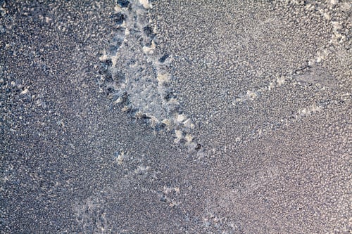 Preview: Ice Flowers On Glass - Texture And Background. High Resolution And Sharp, Beautiful Details