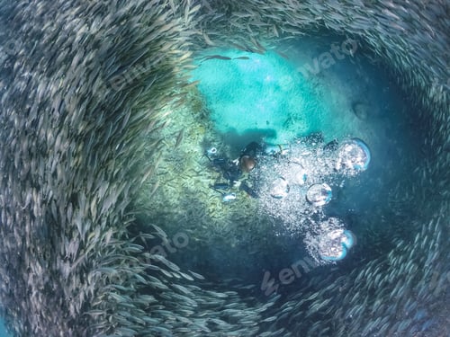 Preview: Swimming With Fish And Turtles Views Around The Small Caribbean Island Of Curacao