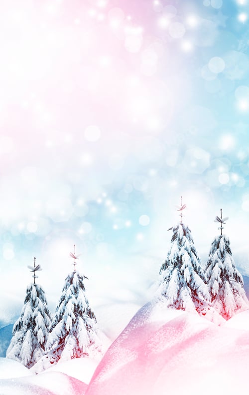 Preview: Forest In The Frost. Winter Landscape. Snow Covered Trees.