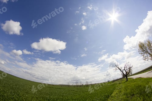 Preview: Rural Landscape With White And Grey Clouds And Wheat Field. Fisheye Lens Effect