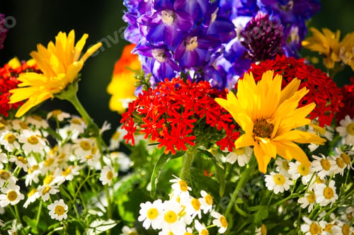 Preview: A Bouquet Of Bright Spring Flowers Of Various Types