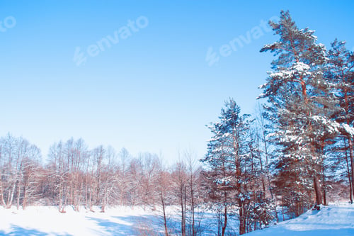Preview: Frozen Winter Forest With Snow Covered Trees. Outdoor