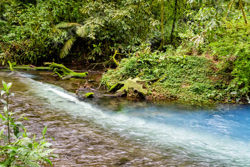Preview: Rio Celeste, Tenorio Volcano National Park, Costa Rica