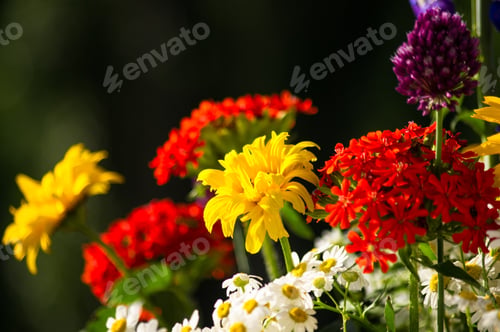 Preview: A Bouquet Of Bright Spring Flowers Of Various Types