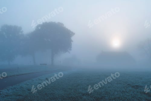 Preview: Misty Dutch Rural Landscape With Trees And Farm.
