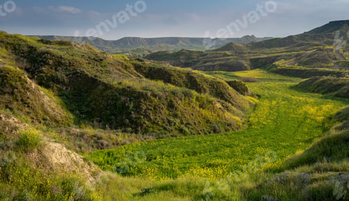 Preview: Green Agriculture Landscape With Green Fields In Cyprus