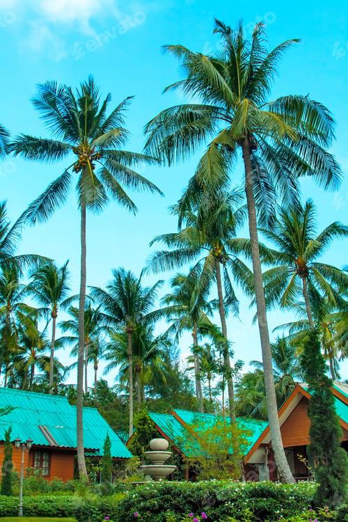 Preview: Tropical Summer Vacation Background With Coconut Palm Trees On Vibrant Blue Sky