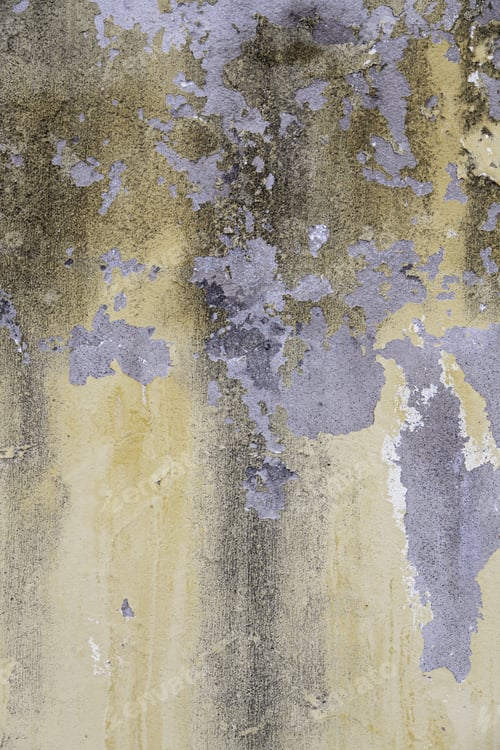 Preview: Wall Moisture And Destruction, Detail Of Abandonment And Old, Cracks