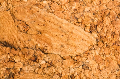 Preview: Cork Texture - Texture And Background