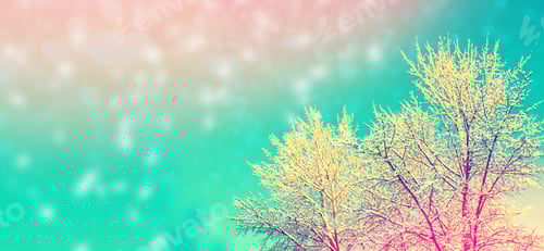 Preview: Frozen Winter Forest With Snow Covered Trees. Outdoor