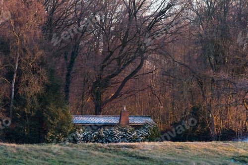Preview: Cabin With Frozen Roof In Forest. Achterhoek. Gelderland. The Netherlands.