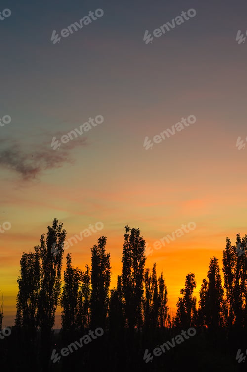 Preview: Landscape With Dramatic Light - Orange Clouds And The Outline Of Trees At Sunset