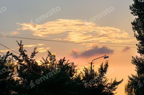 Preview: Silhouettes Of Trees Against Orange Sunset Sky