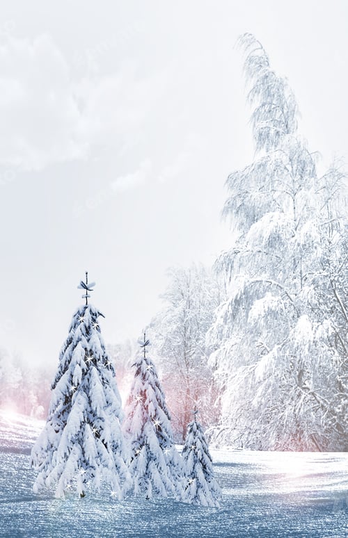 Preview: Winter Forest.