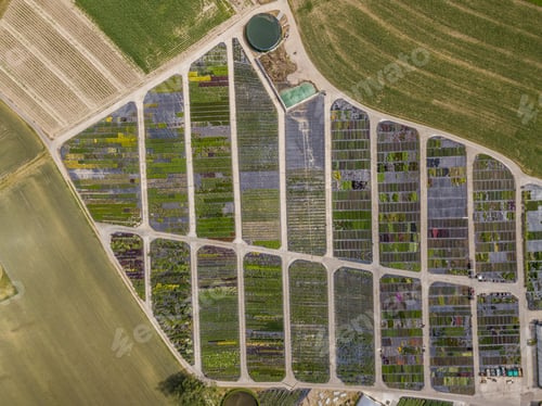 Preview: Aerial View Of Rows Of Cultivated Young Plants In Plant Nursery