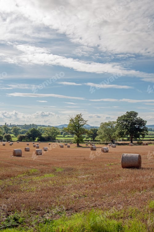 Preview: Straw Bales On A Summertime Land.