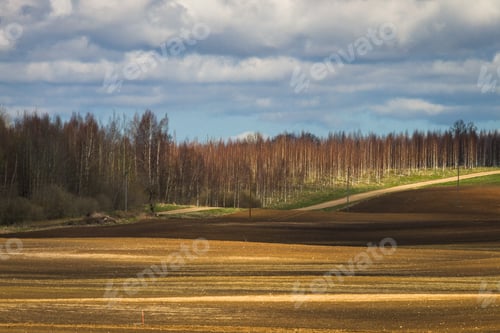 Preview: Processed Cereal Fields In Spring
