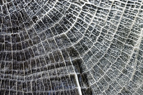 Preview: Wood Texture From Very Old, Weathered Piece On Wood From A Construction