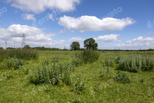 Preview: Countryside Image