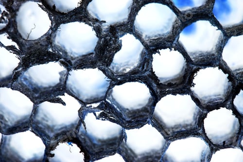 Preview: Abstract Composition With Wasp Comb