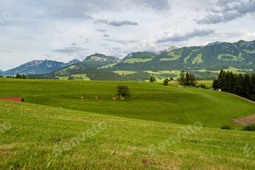 Preview: Autumn Impressions At Schweineberg Near Sonthofen / Bavaria