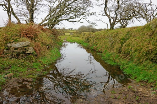 Preview: A Small Country Track And Lane On Bodmin Moor In Winter, Cornwall, Uk