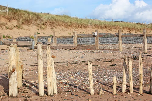 Preview: Old Groynes On Dawlish Warren Beach
