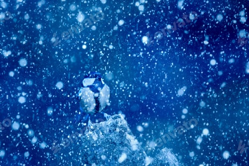 Preview: Winter Season And Animals. Falling Snow. Blue Nature Background. Great Tit.