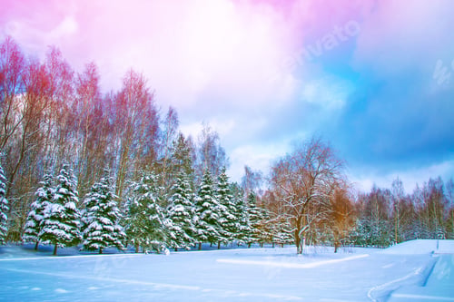 Preview: Frozen Winter Forest With Snow Covered Trees.