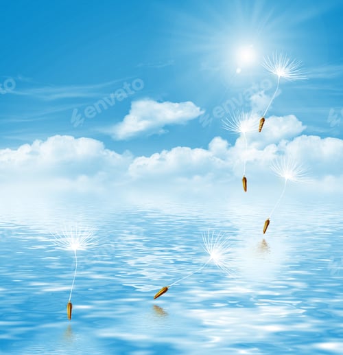 Preview: Dandelion Seeds On A Blue Sky
