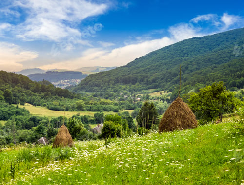 Preview: Haystack On A Green Agricultural Meadow In The Mountains In Morning Light