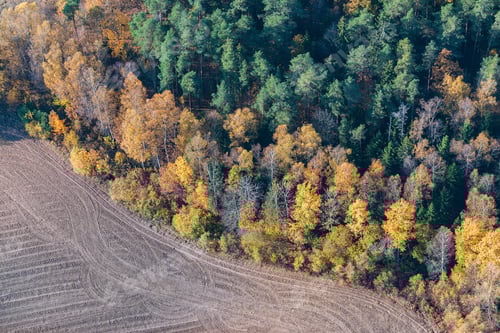 Preview: Aerial View Over The Colourful Trees And Fields In Autumn