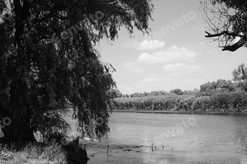 Preview: Black And White Danube Delta Landscape - Romania