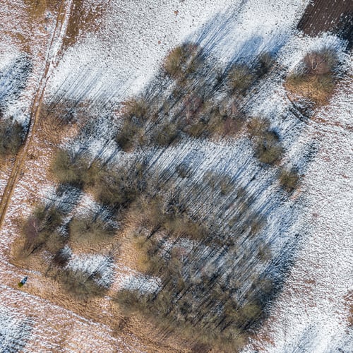 Preview: Aerial View Over The Bushes And Rural Fields In Springtime