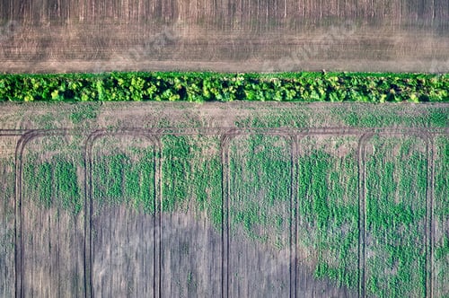 Preview: Aerial View Over Turf Yield